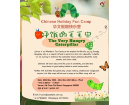 Holiday Camps