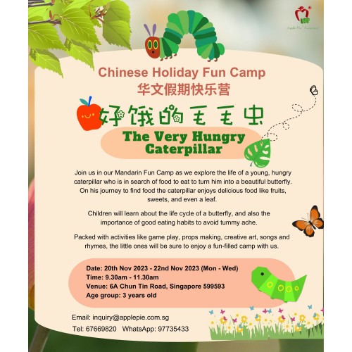 Holiday Camps